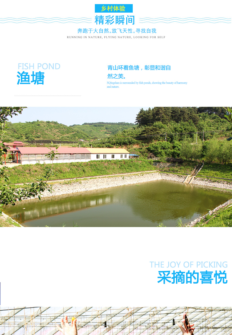 采摘58元-詳情頁_07.jpg