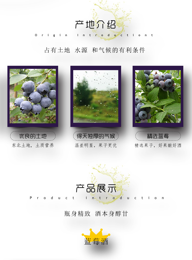 藍莓酒_03.jpg